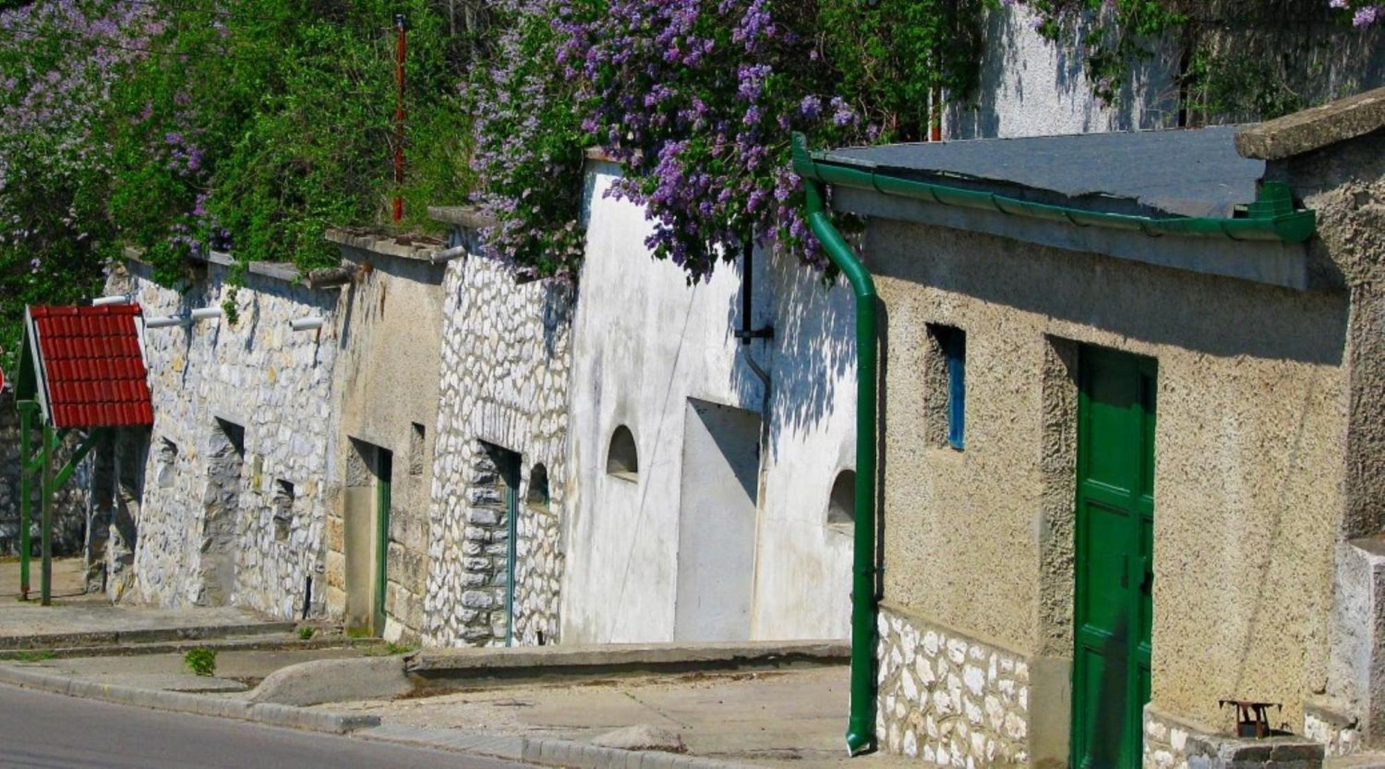 Fenyo Panzio Bed & Breakfast Mezokovesd Bagian luar foto